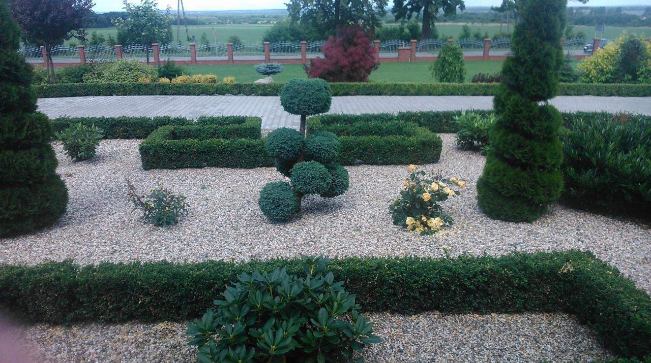 Ogród z geometrycznie przyciętymi krzewami, wysypany żwirem, z widocznym chodnikiem i ogrodzeniem w tle. Krzewy formowane w kule i spirale.