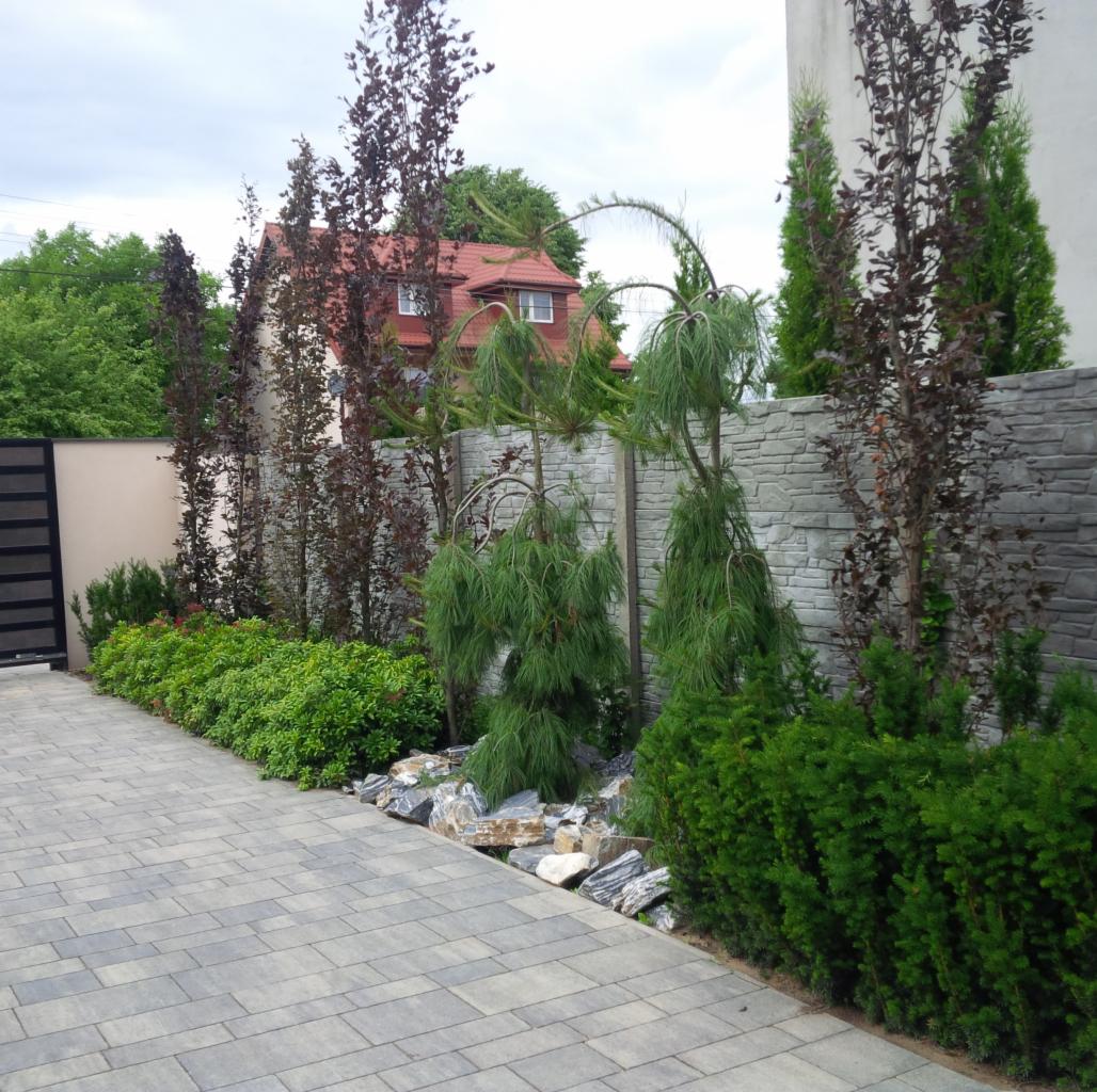 Ogród z ozdobnymi drzewami i krzewami wzdłuż ścieżki z kostki brukowej, z kamieniami dekoracyjnymi i szarym murem w tle.