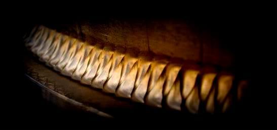 Szereg precyzyjnie wyciętych, metalowych zębów piły taśmowej, widoczny w słabym oświetleniu warsztatowym, z delikatnymi śladami użytkowania i brudu.