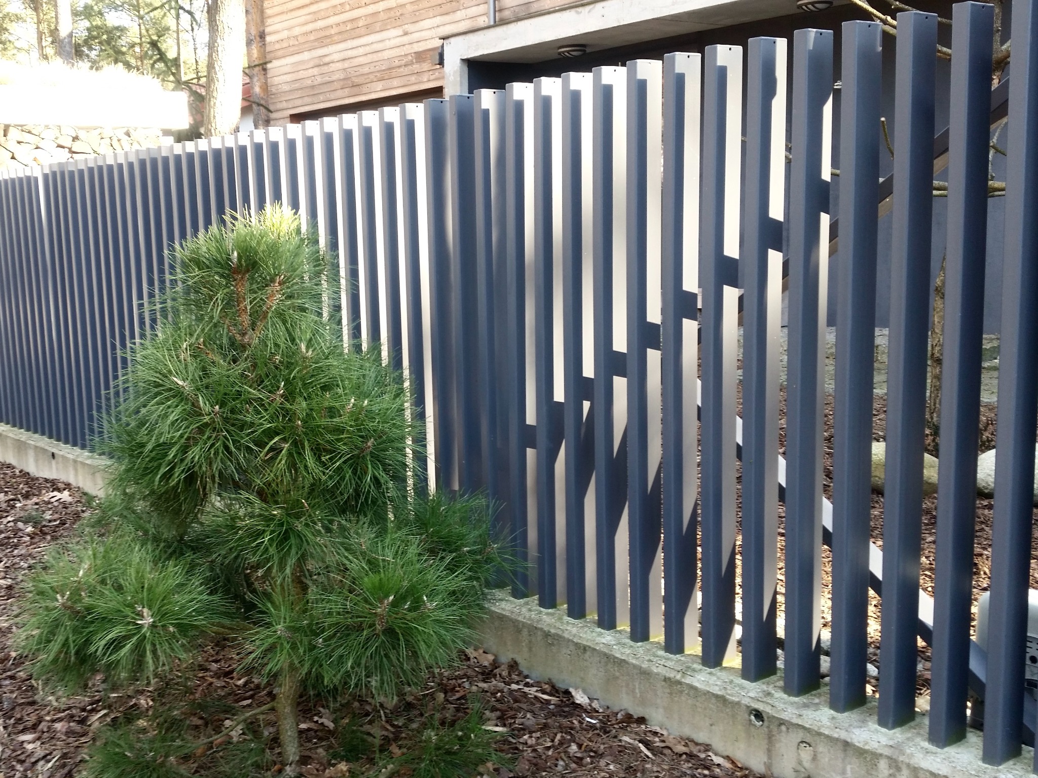 Nowoczesne ogrodzenie metalowe z pionowych, grafitowych profili, częściowo ażurowe. Z przodu mała sosna, w tle drewniana elewacja.
