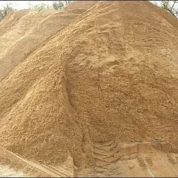 Duża pryzma piasku o grubej fakturze, z widocznymi śladami opon na dole. Jasny, naturalny odcień piasku, oświetlony dziennym światłem, z drzewami w tle.