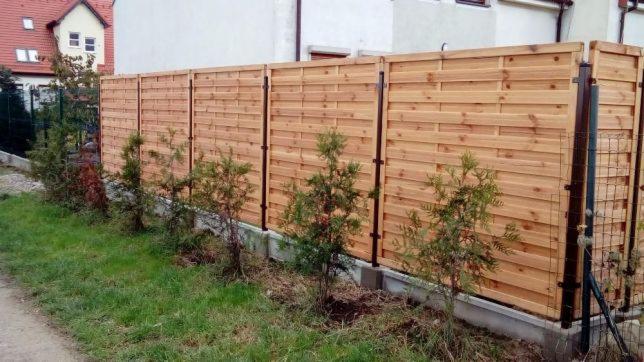 Nowoczesne ogrodzenie panelowe z poziomych desek, z brązowymi słupkami, obsadzone młodymi tujami wzdłuż betonowej podmurówki.