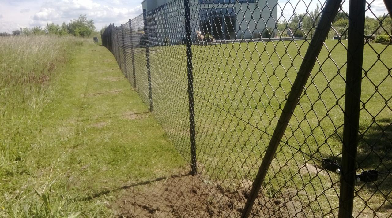 Długa linia ogrodzenia z siatki, widok z bliska na słupki wbite w ziemię, trawa rosnąca po obu stronach, budynek w tle.