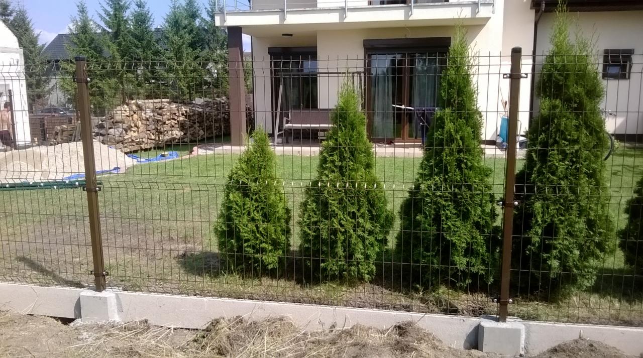 Nowoczesne ogrodzenie panelowe w kolorze antracytowym, osadzone na betonowej podmurówce, z widocznymi tujami posadzonymi wzdłuż ogrodzenia, na tle domu z jasną elewacją i zielonym trawnikiem.