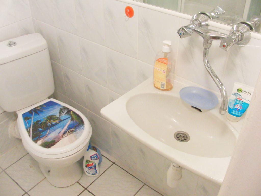 Łazienka z białą umywalką, baterią, mydłem w płynie, mydelniczką i pastą do mycia twarzy oraz toaletą z deską ozdobioną motywem plaży z palmami.