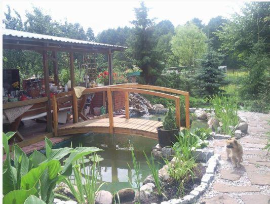 Oczko wodne z drewnianym mostkiem i kaskadą, widok z perspektywy brzegu, z psem wchodzącym na kamienną ścieżkę.