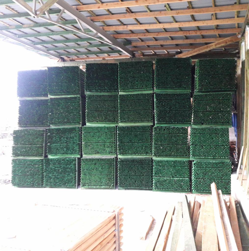 Magazynowane, impregnowane ciśnieniowo, zielone drewno konstrukcyjne w wiązkach pod zadaszeniem, widoczne elementy więźby dachowej.