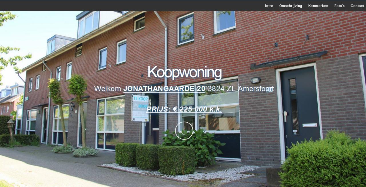 Strona wspomagająca sprzedaż domu (HOLANDIA)