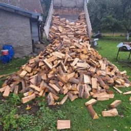 Wyładunek pociętego drewna z wywrotki na trawnik przed budynkiem gospodarczym, widoczne pojedyncze kawałki drewna na trawie.