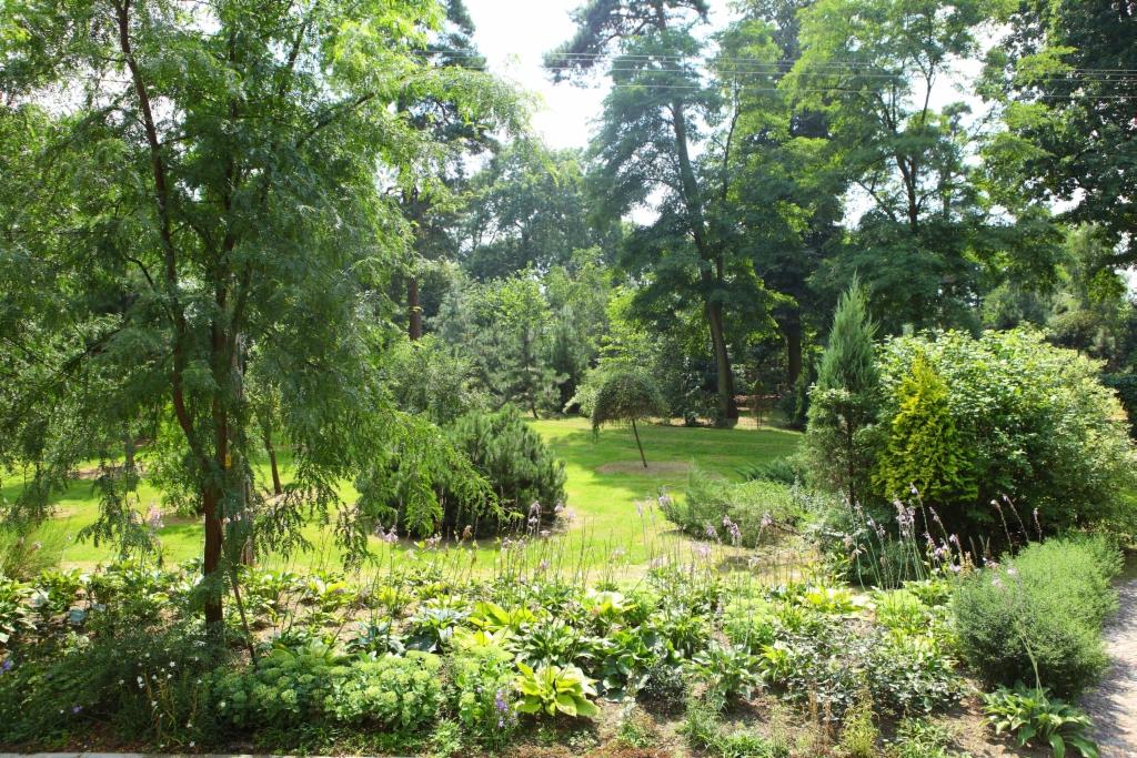 Pejzaż ogrodu z różnorodną roślinnością: drzewa, krzewy, trawnik. Widok z góry na bujną zieleń w słoneczny dzień. Kompozycja podkreśla naturalny charakter ogrodu.