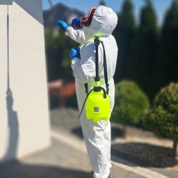 Skuteczne usuwanie owadów