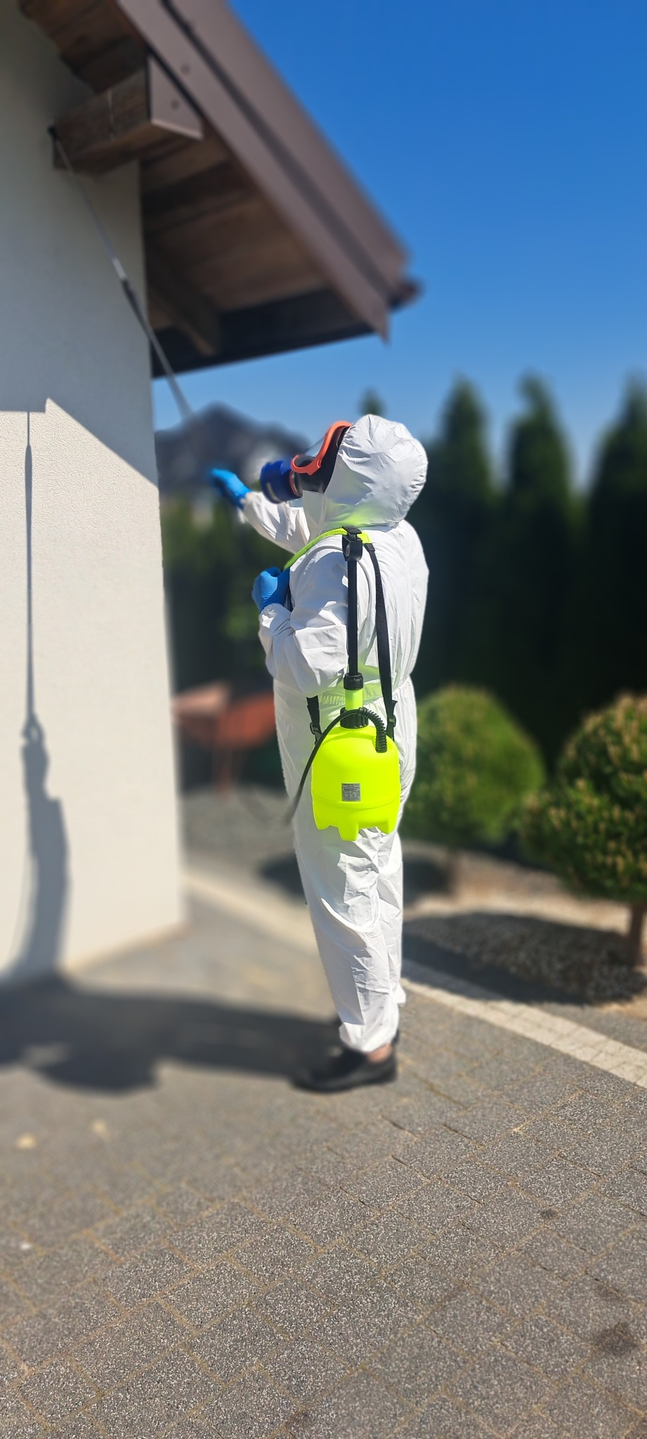 Skuteczne usuwanie owadów