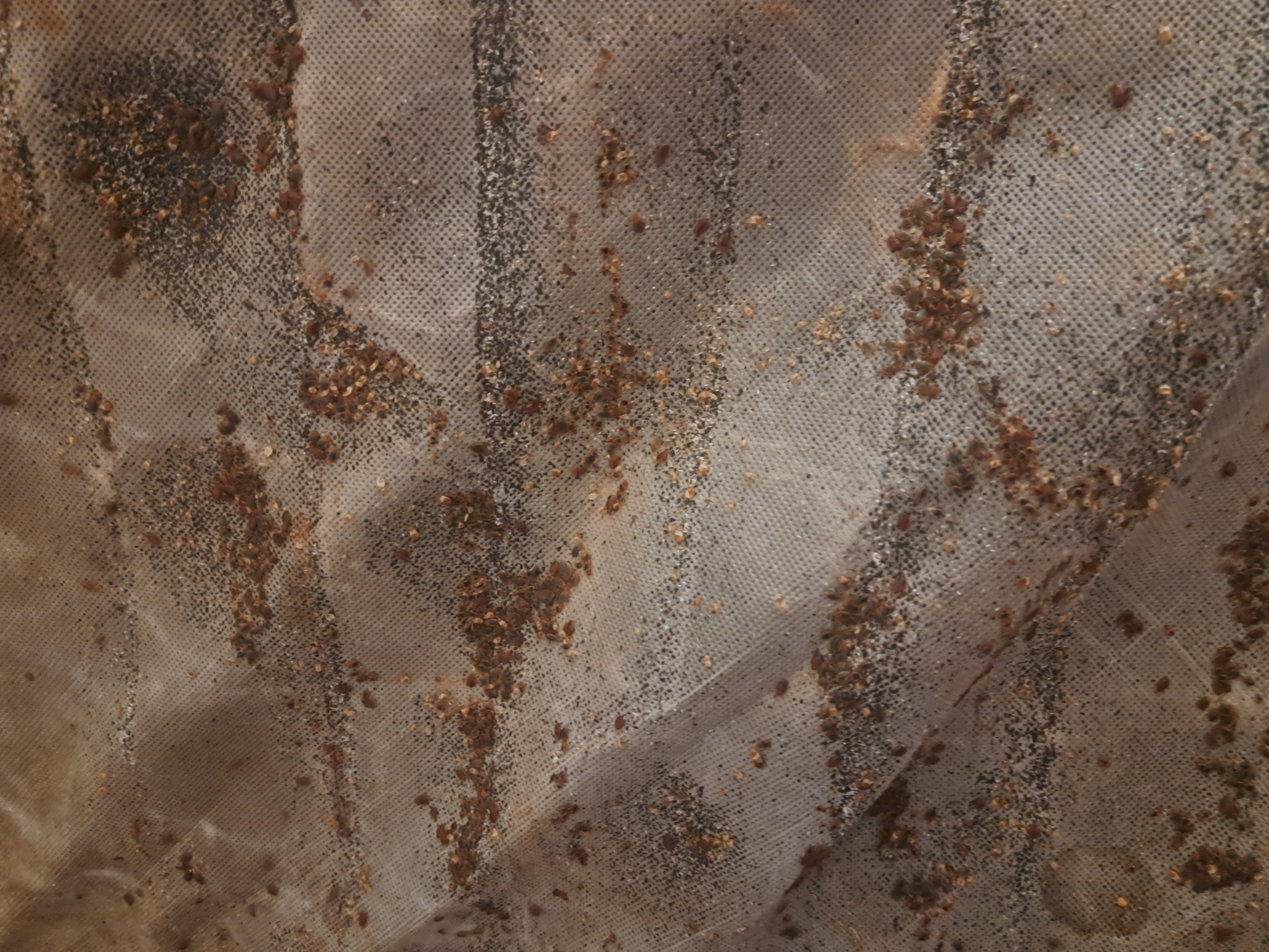 Brudna, tekstylna powierzchnia z drobnymi zanieczyszczeniami i plamami, ukazująca potrzebę gruntownego czyszczenia.