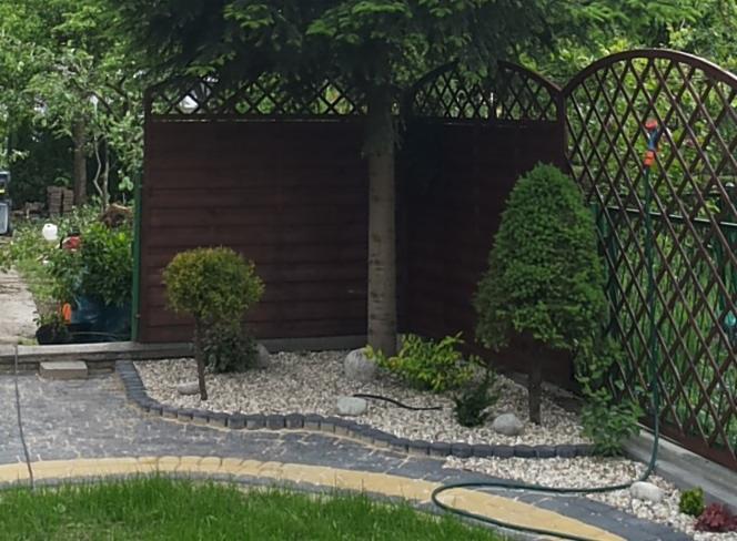 Ogród z ścieżką z kostki, obrzeżem z kamienia, ozdobnymi krzewami i drzewami, oraz drewnianym panelem z kratką w tle.