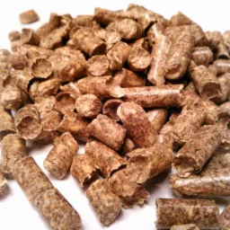 Jasne pellety drzewne w zbliżeniu, ukazujące strukturę włókien i okrągły przekrój. Część pelletów jest złamana, leżą na białym tle.