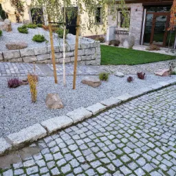 Ogród z kamienną ścieżką, rabatą z kamieni i roślin oraz podtrzymywanymi młodymi brzozami, widok na dom z kamienną elewacją.