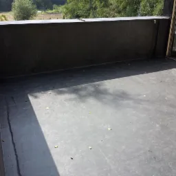 Szczelny, płaski dach pokryty czarną membraną bitumiczną, widoczne detale wykończenia attyki i niewielkie liście na powierzchni, cień drzewa.