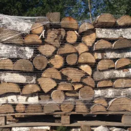 Ułożone drewno opałowe z brzozy, pocięte na szczapy i spakowane w siatkę, ułożone na palecie. Widoczne słoje drewna i biała kora brzozy.