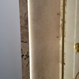 Glazurnik Stepnica 4