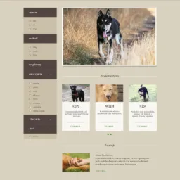 Sklep internetowy- Fundacja Daj Szansę