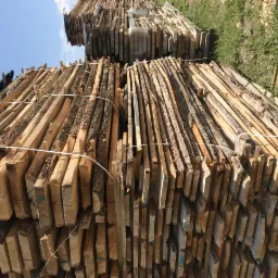 Stosy świeżo przetartego drewna z korą, zabezpieczone białym sznurkiem, ułożone na zewnątrz pod błękitnym niebem.