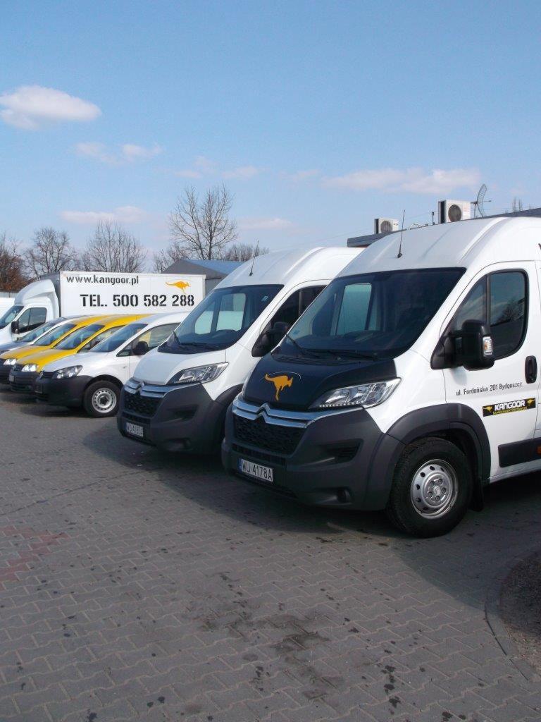Rząd białych samochodów dostawczych z logo kangura, zaparkowanych na brukowanym placu w słoneczny dzień.