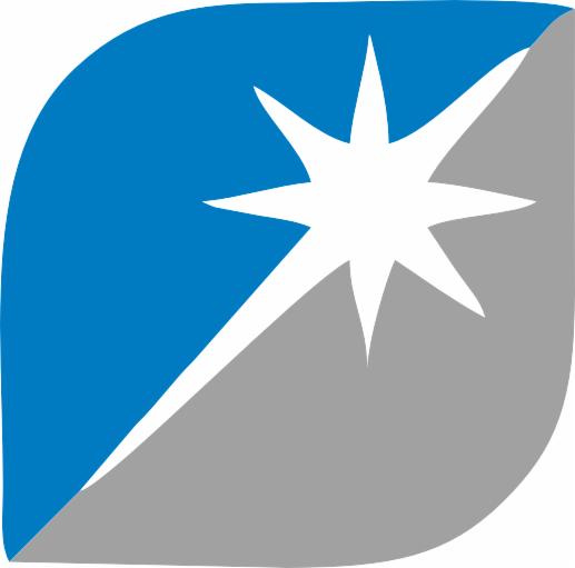 Abstrakcyjne logo firmy w kształcie liścia z niebieskim i szarym wypełnieniem oraz białą gwiazdą w środku.