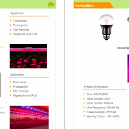 Hk Smile Lighting - Lampy Zewnętrzne Shenzhen