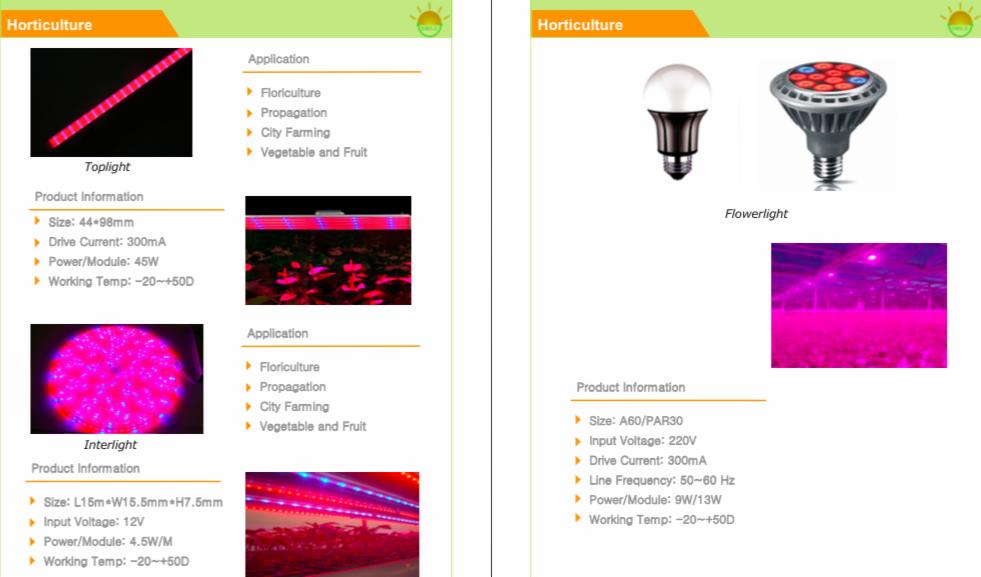 Katalog oświetlenia LED do upraw: Toplight, Interlight, Flowerlight. Lampy do florystyki, propagacji, upraw miejskich, warzyw i owoców. Specyfikacje techniczne.