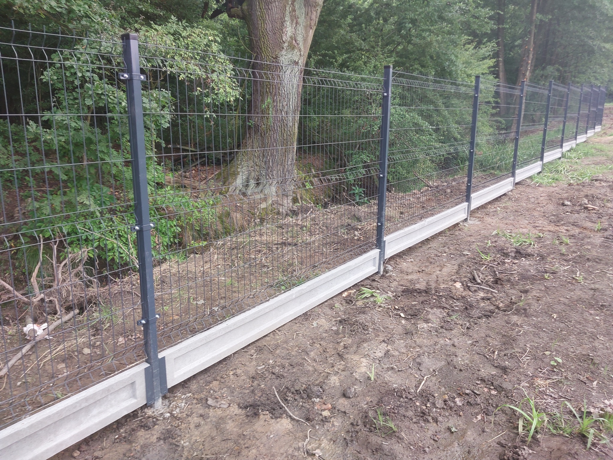 Długi, szary panelowy system ogrodzeniowy z podmurówką betonową, widoczny wzdłuż linii drzew w naturalnym otoczeniu.