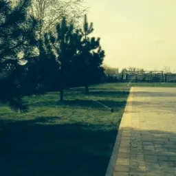 Automatyczne nawadnianie trawnika zraszaczami w ogrodzie, widok z bliska na dyskretne, czarne głowice zraszające wystające z trawy, obok ścieżka z kostki brukowej.