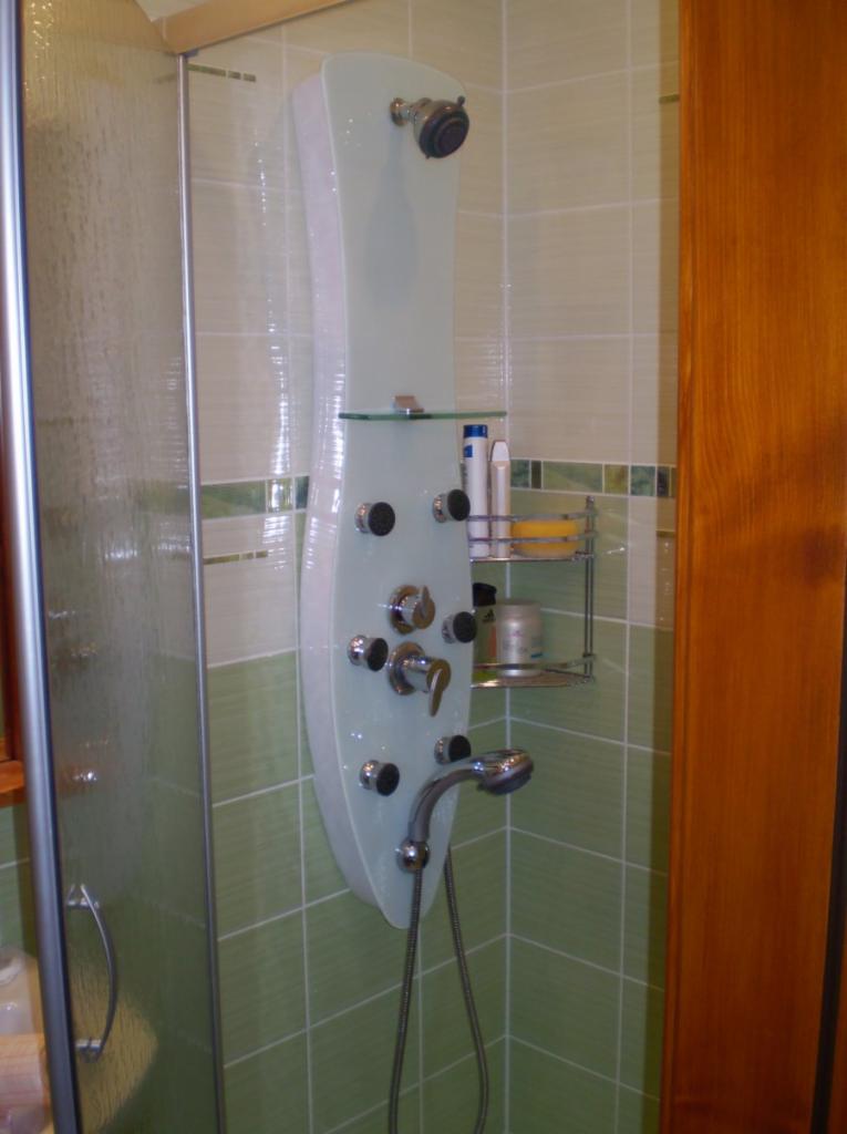 Nowoczesny panel prysznicowy z hydromasażem, z półkami na kosmetyki, zamontowany w kabinie z zielonymi płytkami. Widoczna drewniana framuga drzwi.