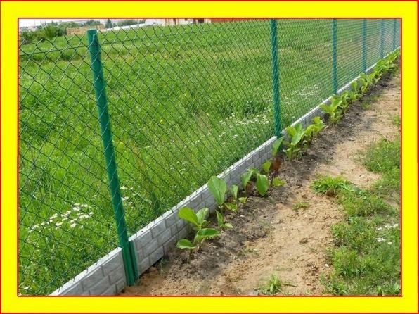 Zielona siatka ogrodzeniowa z betonową podmurówką i młodymi roślinami wzdłuż ogrodzenia, widok z bliska, zieleń trawy w tle.