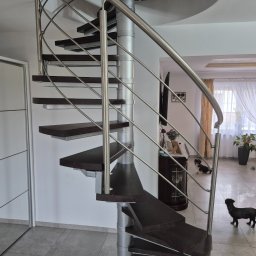 MAR - STAL MAREK LIS - Spiralne schody metalowe z drewnianymi stopniami, srebrna konstrukcja, widok z dołu, w tle dwa małe psy w salonie. Nowoczesny design.