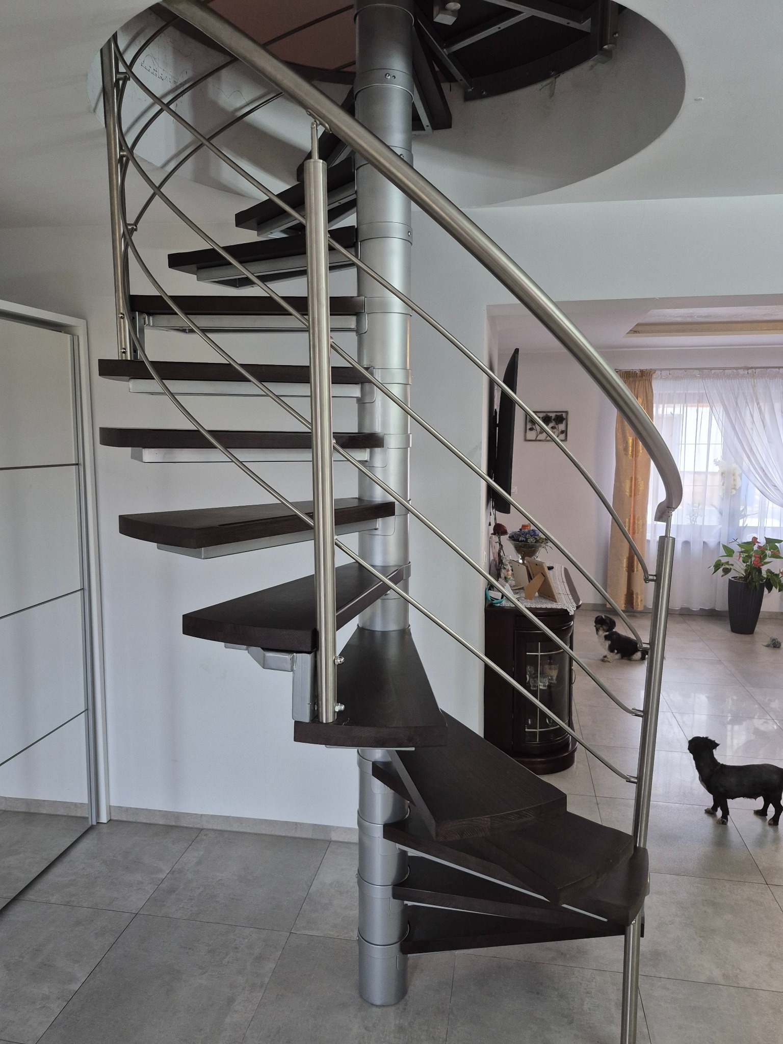 Spiralne schody metalowe z drewnianymi stopniami, srebrna konstrukcja, widok z dołu, w tle dwa małe psy w salonie. Nowoczesny design.