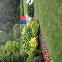 Widok z góry na ogród z zielonym trawnikiem, różnymi krzewami, w tym kwitnącymi hortensjami i żółtymi krzewami, z czerwoną i niebieską skrzynią w tle oraz zwiniętym wężem ogrodowym na pierwszym...