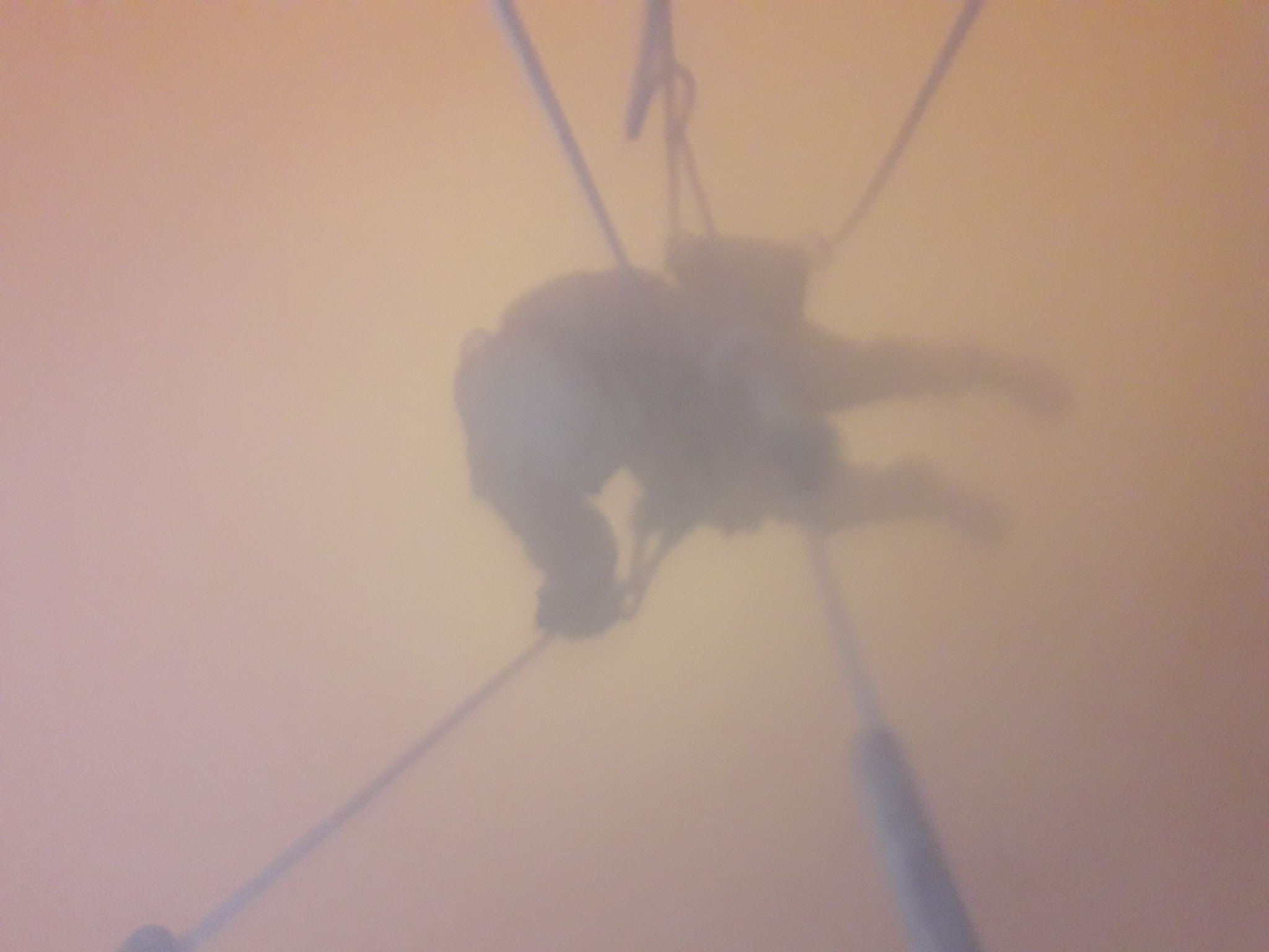 Pracownik wysokościowy zabezpieczony linami, wykonujący pracę w warunkach ograniczonej widoczności, prawdopodobnie podczas mgły lub w zapylonym otoczeniu.