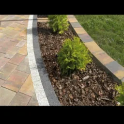 Ułożona kostka brukowa w odcieniach brązu z obrzeżem z jasnego grysu, oddzielająca rabatę z korą i młodymi tujami od trawnika.