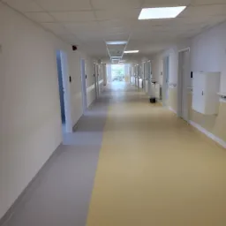 Długi korytarz w budynku o dwóch odcieniach podłogi, z rzędem zamkniętych drzwi po obu stronach i oświetleniem sufitowym