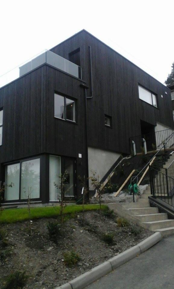 Nowoczesny dom z ciemną, drewnianą elewacją, schodami wejściowymi i minimalistycznym ogrodem z młodymi drzewkami.