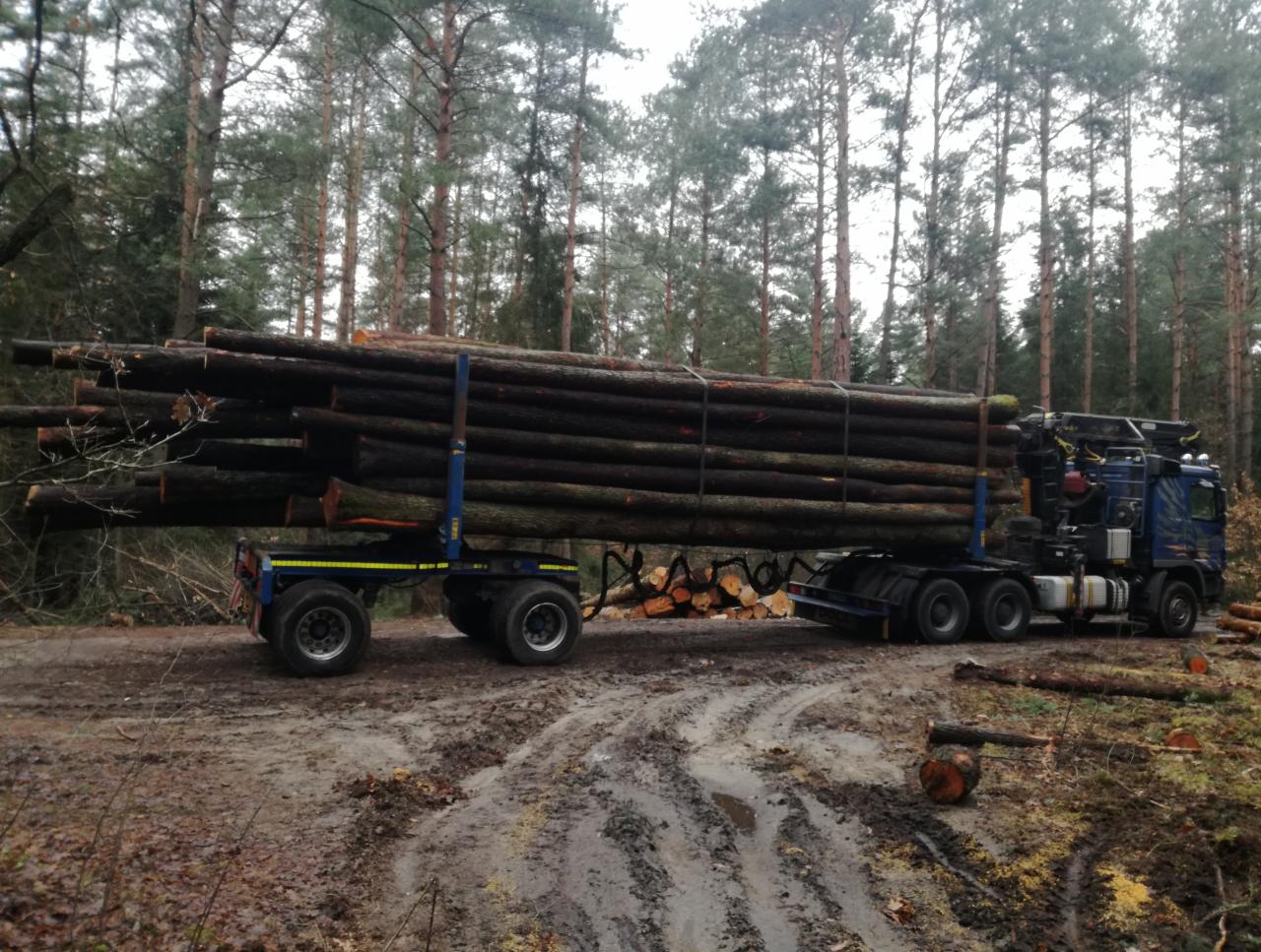 Transport drewna