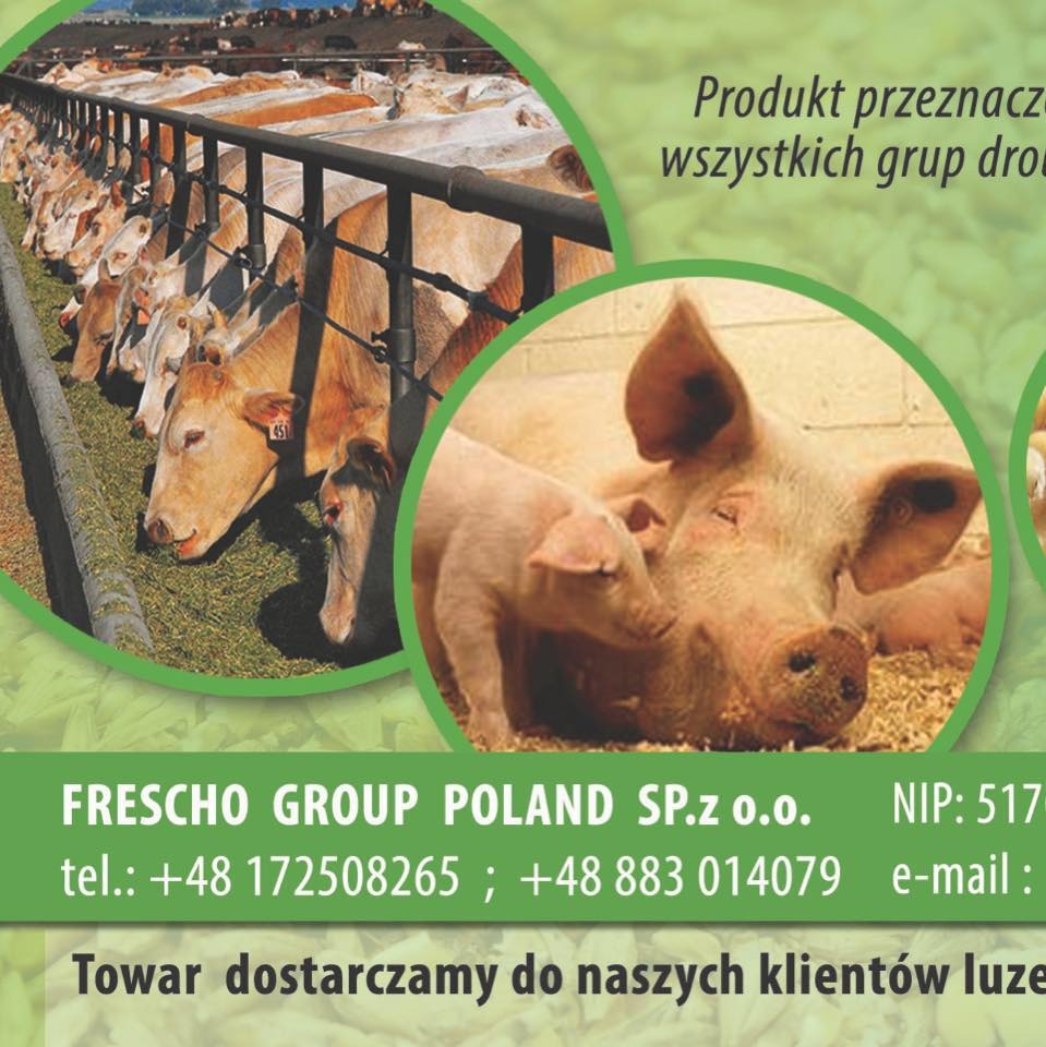 Grafika reklamowa Frescho Group Poland Sp. z o.o. przedstawiająca krowy jedzące w korycie oraz świnie, z tekstem informacyjnym o firmie i numerami kontaktowymi.