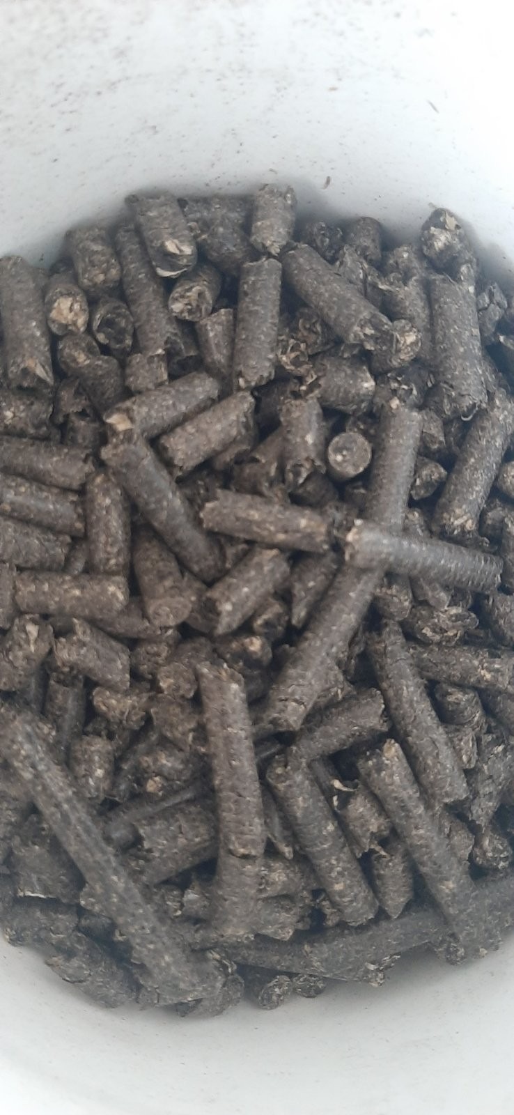 Pellet z łuski słonecznika