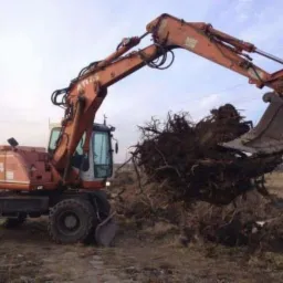 Pomarańczowa koparka Atlas 1404 podnosi łyżką korzenie drzew na polu, widoczne drzewa w tle.