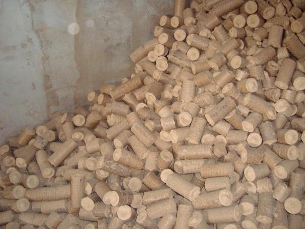 Stos brązowych, cylindrycznych peletów ułożonych w nieładzie, wypełniających kadr. Widoczna betonowa ściana w tle, sugerująca magazynowanie.