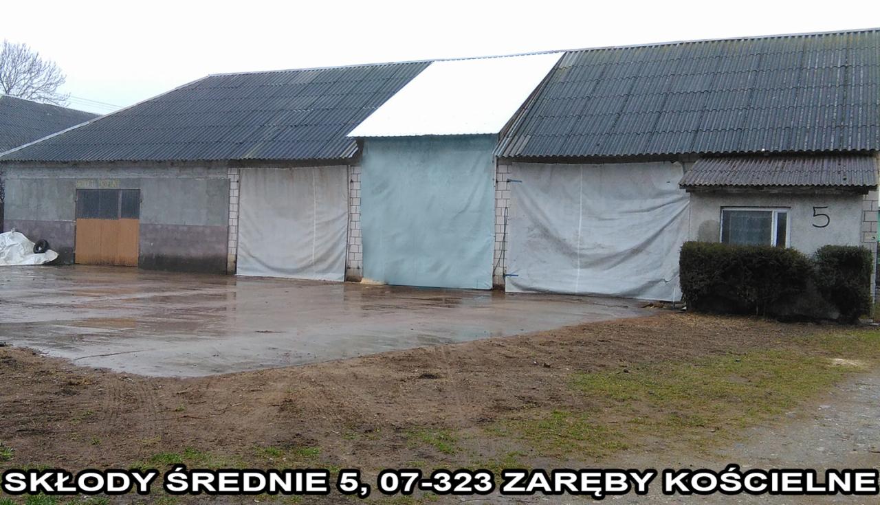 Widok na budynek składu z betonową elewacją, zadaszony eternitem. Część bram zasłonięta plandekami. Mokry plac przed budynkiem. Adres: Składy Średnie 5, Zaręby Kościelne.