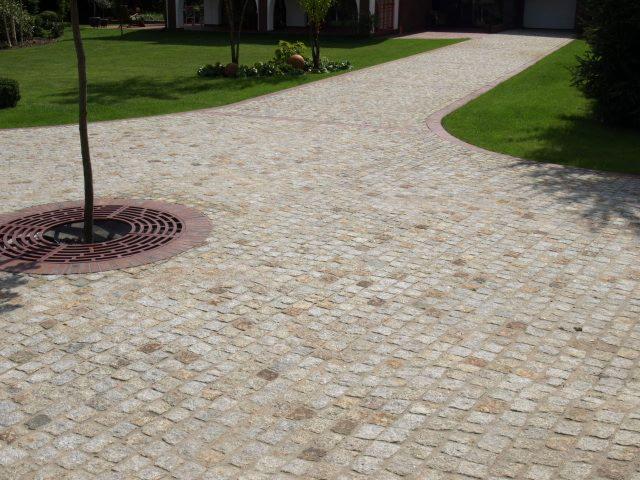 Granitowa kostka brukowa tworząca ścieżkę na posesji, otaczająca drzewo z metalową kratą. Ujęcie z poziomu gruntu, widoczny trawnik i fragment domu w tle.