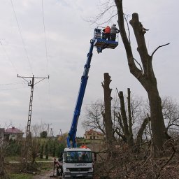 Trociny i zrębki drzewne Jastków 3