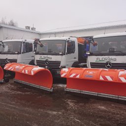 Trociny i zrębki drzewne Jastków 1