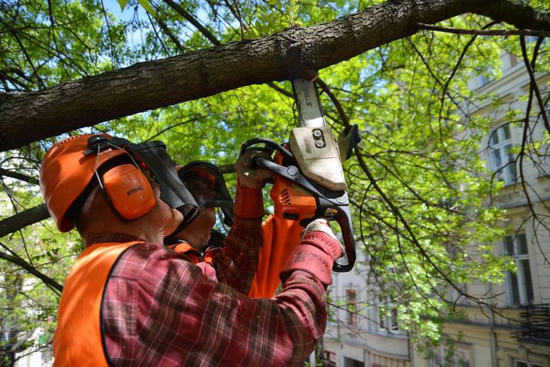Dwóch pracowników w kaskach i kamizelkach ochronnych tnie gałąź drzewa piłą spalinową marki Stihl na tle budynku mieszkalnego.
